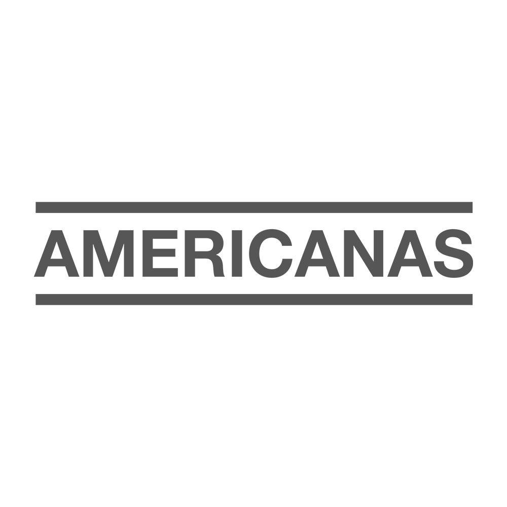 Americanas s.a.